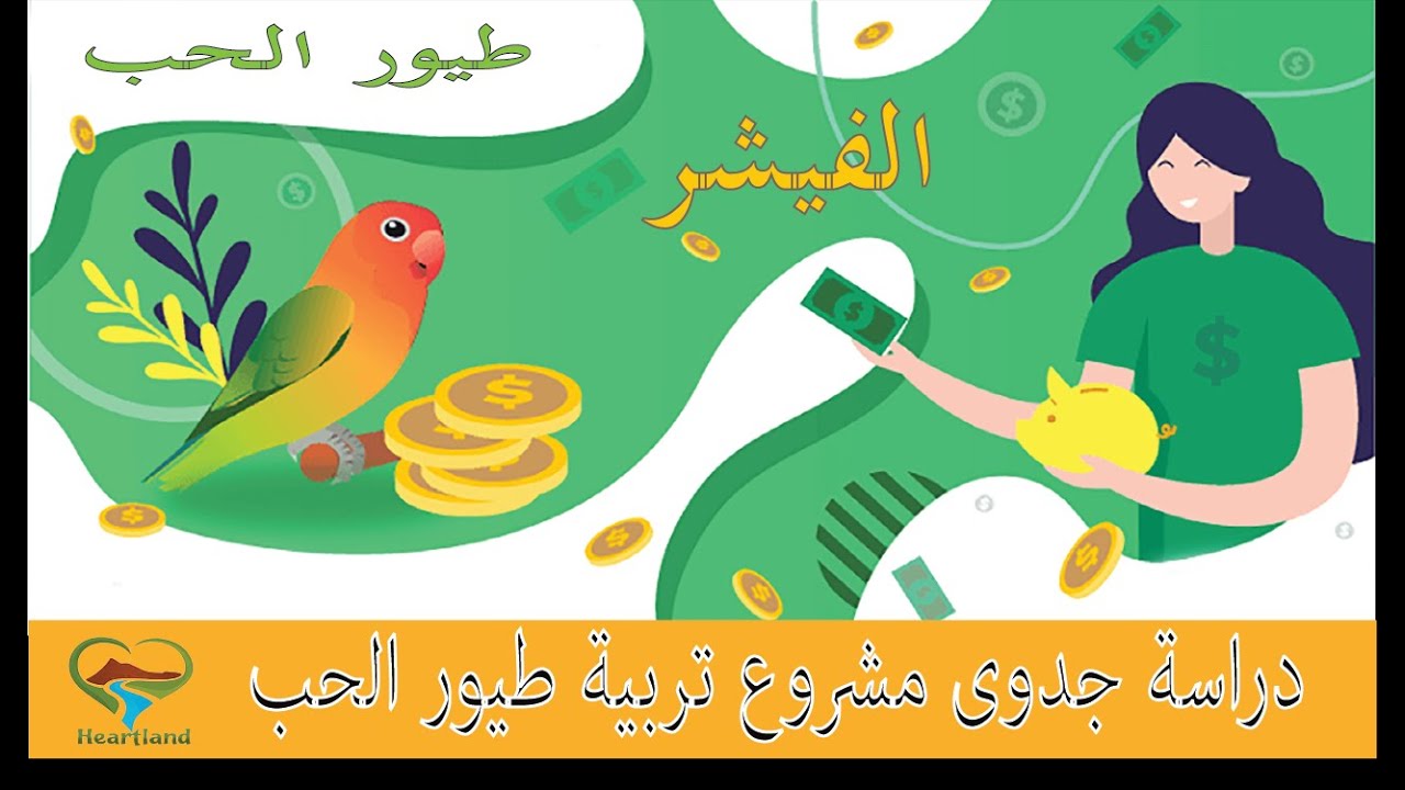 دراسة جدوى مشروع تربية الفيشر