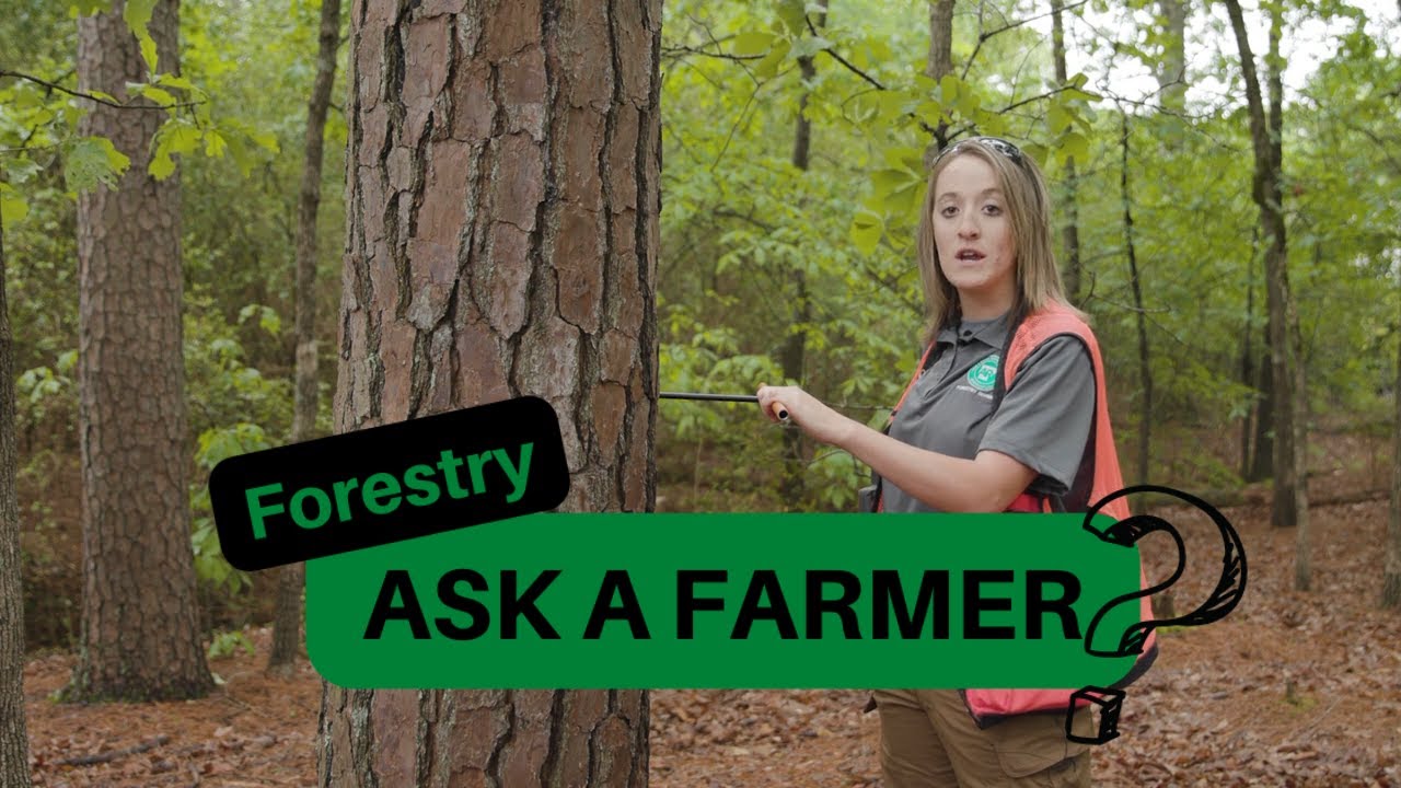 Ask a Farmer, Ep. 6: Forester Questions