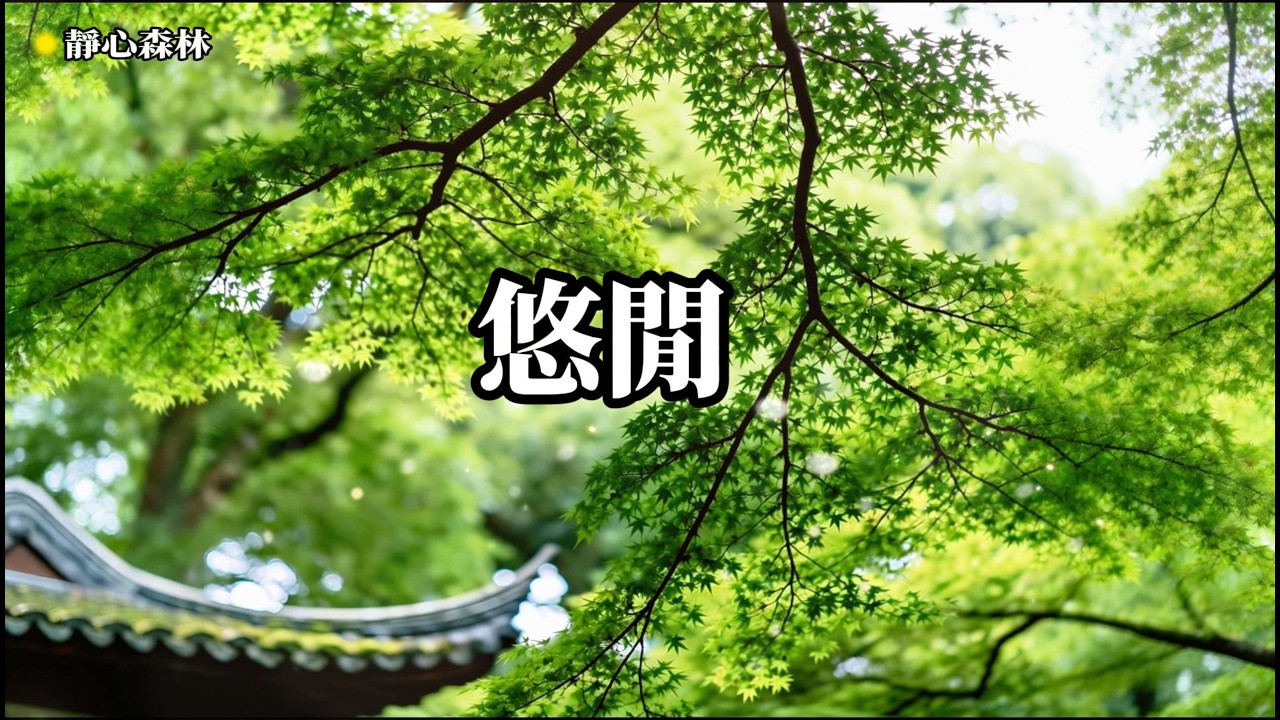 放鬆音樂 空靈，靜心冥想，聆聽自我，深度放鬆身心，忘  療癒音樂,放鬆音樂,輕音樂,冥想音樂,深度睡眠,舒壓按摩音樂, 睡眠音樂,鋼琴音樂,鋼琴曲,輕音樂,BGM,純音樂,轻音乐