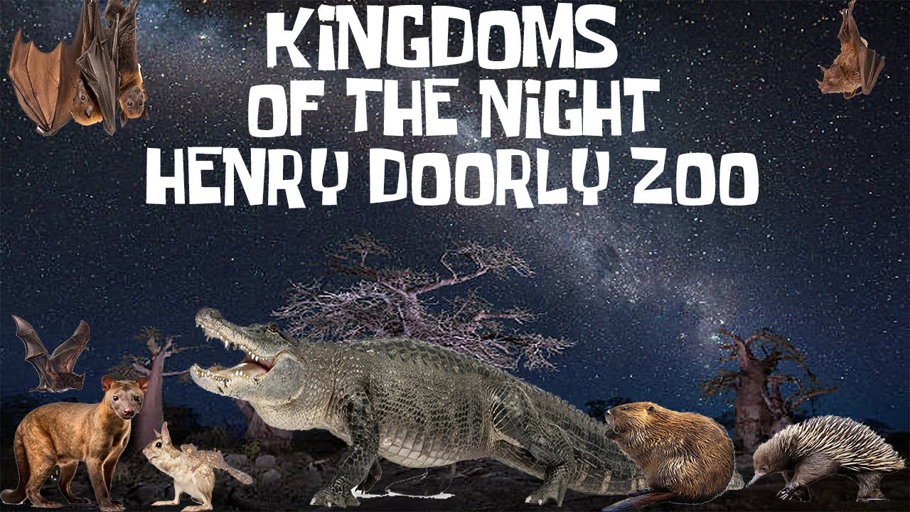 Uncaged Zoo Tours: Kingdoms of the Night at the Henry Doorly Zoo ft. Nocturnal Animals #subscribe
