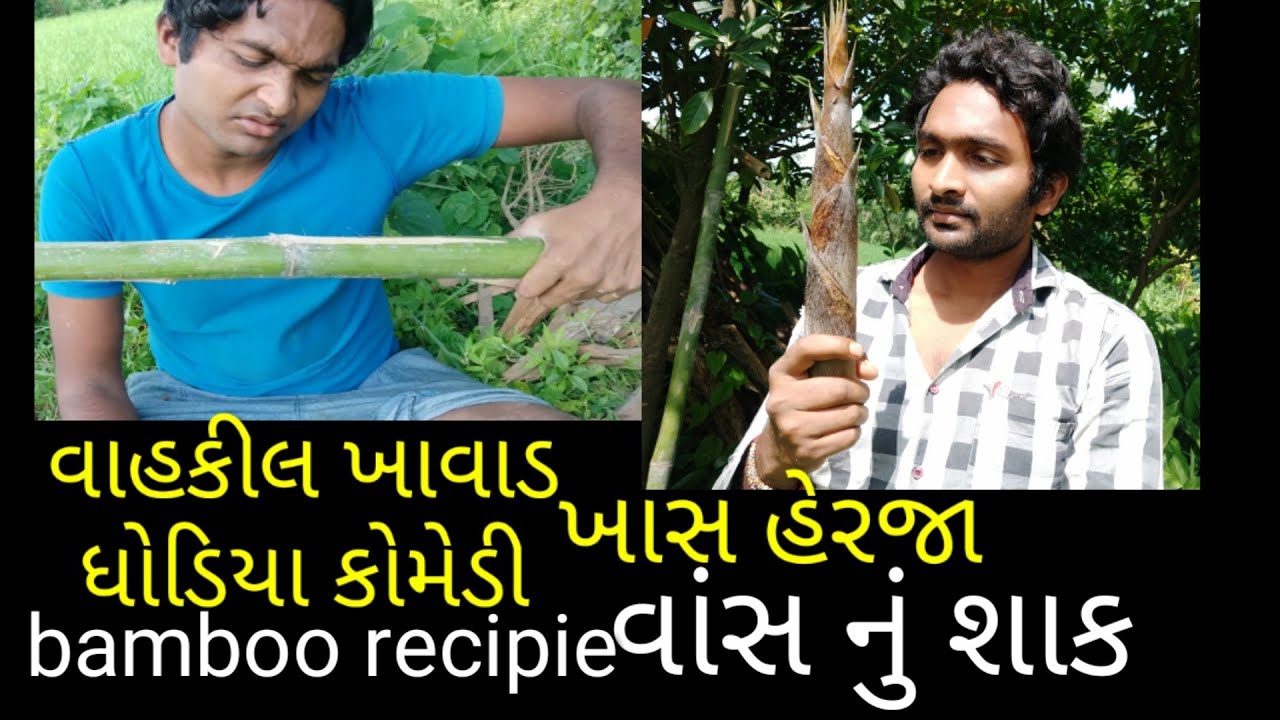 વાહકીલ ખાવાડ,ધોડિઆ કોમેડી ખાસ હેરજા,vahkil khavad dhodia comedy vans nu sak
