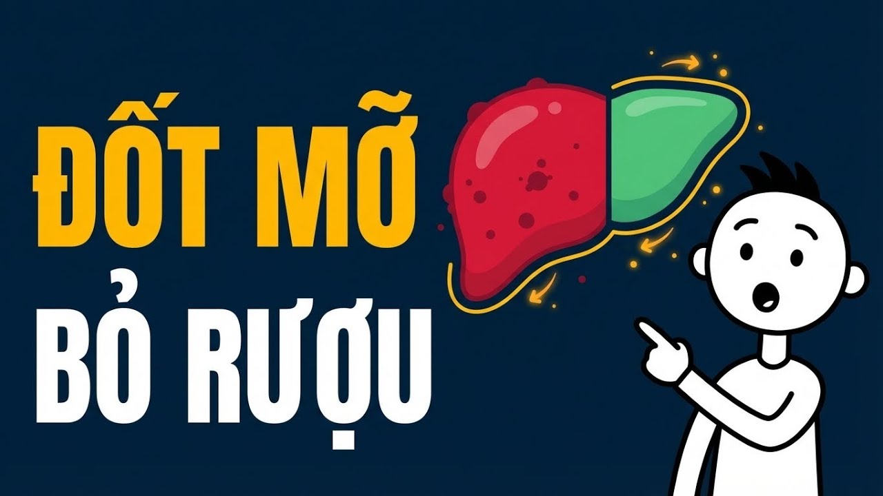 30 Ngày Ngừng Rượu Bia: Cách Phục Hồi Gan & Giảm Mỡ Tự Thân | Khoa Học Chuyển Hóa