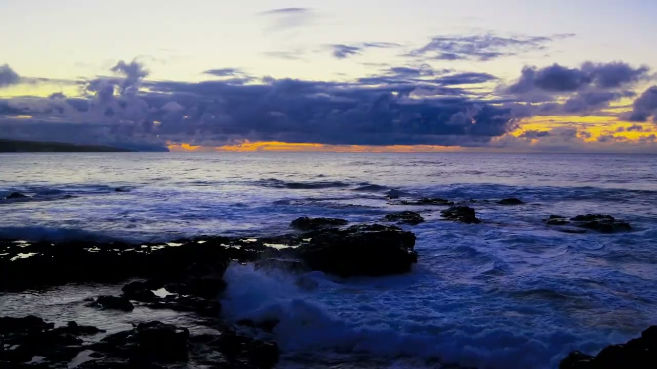 Chillwaves Music, Lofi Music, Tropical House Music, Focus Music, Nature Sounds #lofi #nature