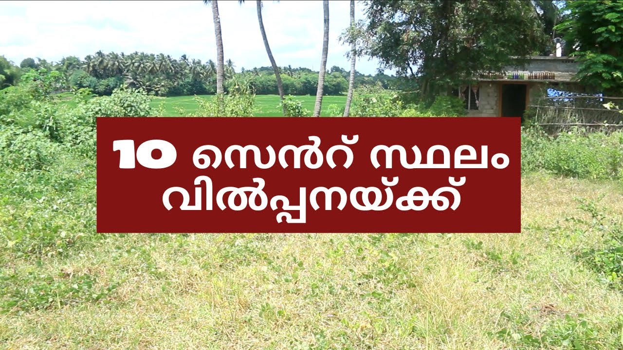 LAND FOR SALE IN PALAKKAD|RESIDENTIAL LAND IN PALAKKAD| SANDY PLKD 26 8 23 SONU REWORK