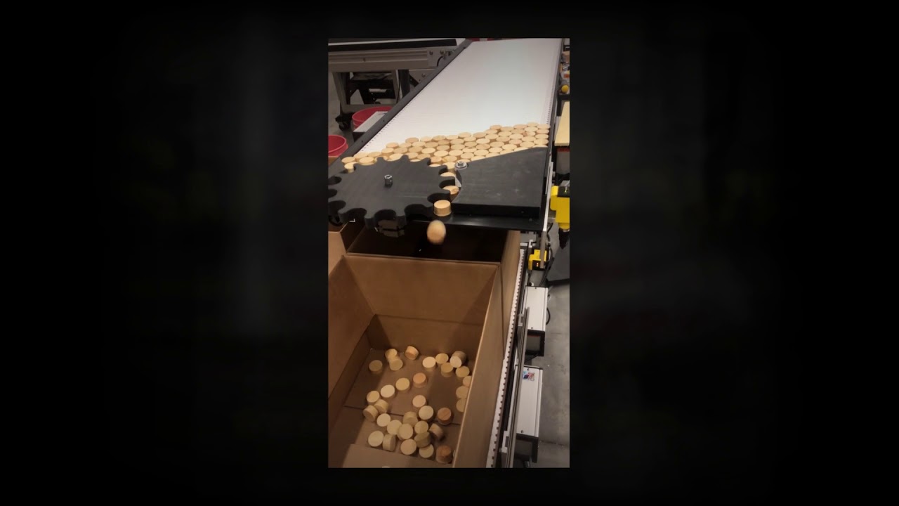 Accumulating - Counting - Packaging Conveyor System by SmartMove®