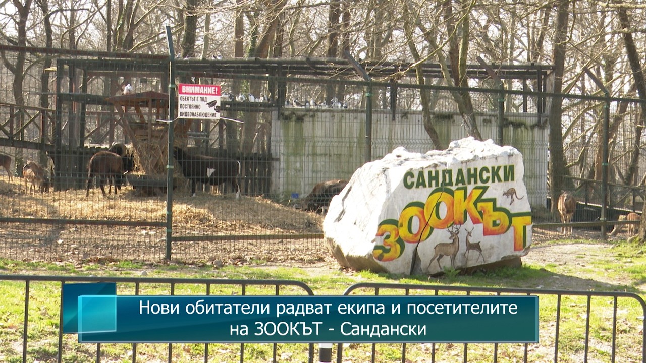 Нови обитатели радват екипа и посетителите на ЗООКЪТ - Сандански