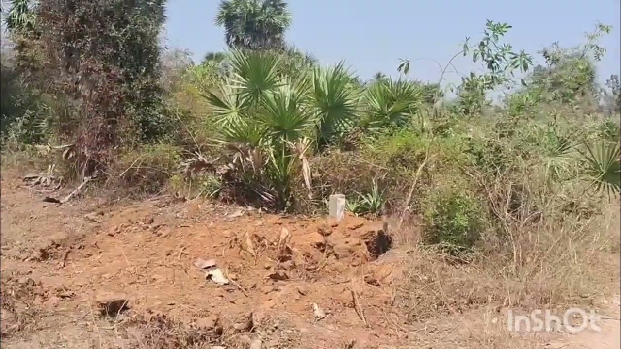 மருதாடு கிராமம் வந்தவாசி தாலுகா திருவண்ணாமலை (ம)25 சென்ட் ஒரு சென்ட் விலை 40,000 cell me 8489708046