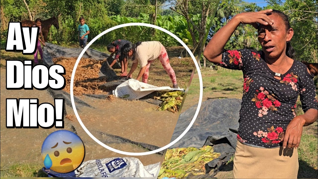 Todo Su Trabajo Se Les Mojo Por El Agua Del Pozo😱😰