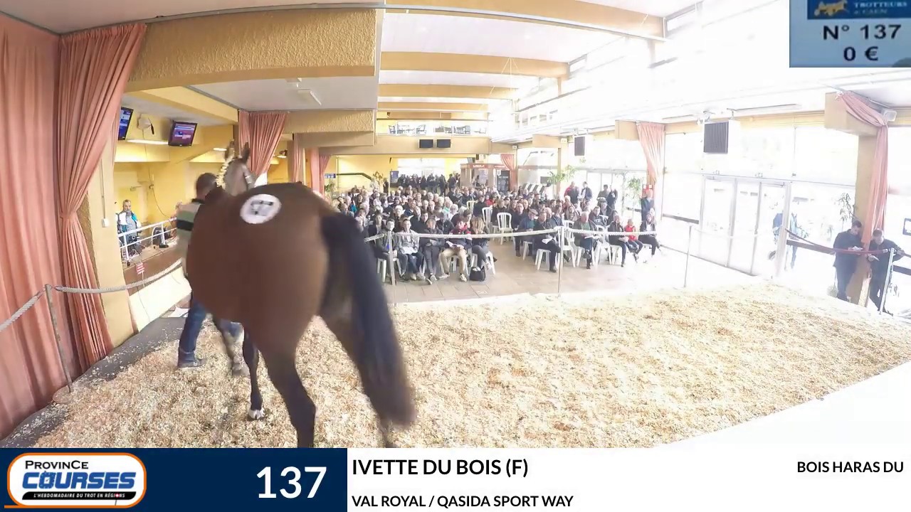 Ventes de Caen #JOUR2 partie 2