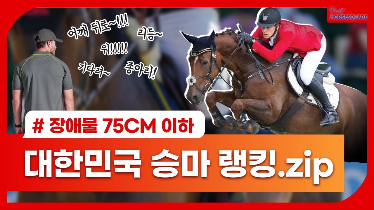 #1 홀스퀘어와 함께하는 승마 랭킹 J1편 KOREA J1 Equestrian Ranking with HORSESQUARE