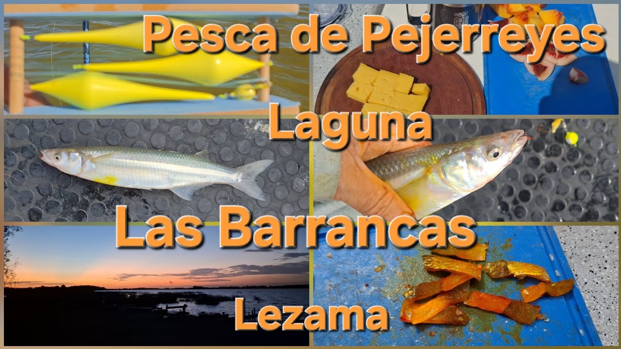 PESCA DE PEJERREYES LAGUNA LAS BARRANCAS 1&deg; DE LA TEMPORADA #pesca #pejerrey #laguna #pescadeflote