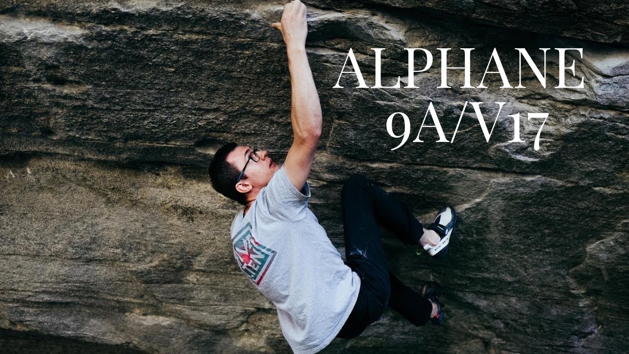 Alphane 9A/V17 | Уилл Боси