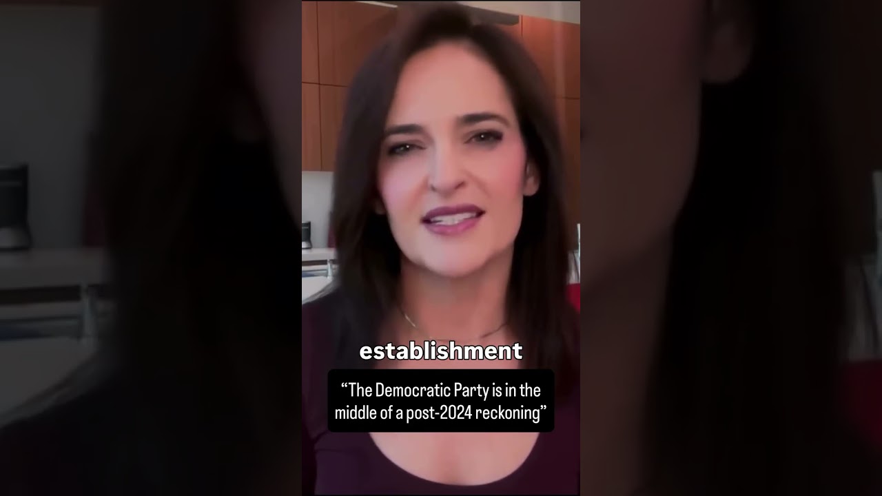 Dem strategist Lis Smith: &ldquo;The Democratic Party is in the middle of a post-2024 reckoning
