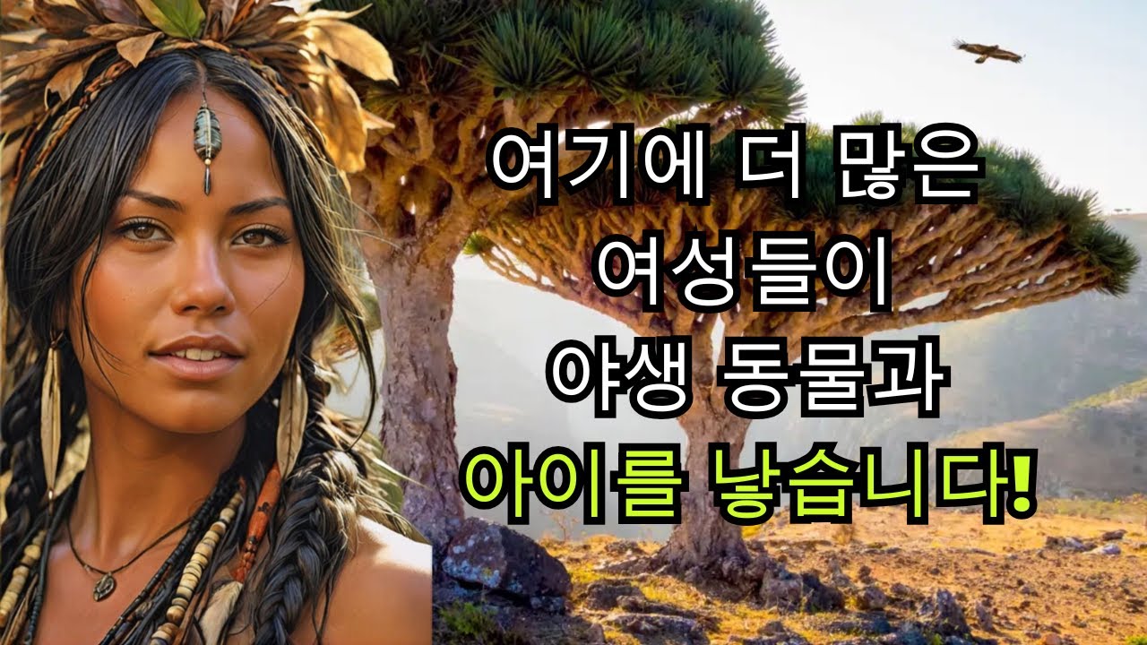 SOCOTRA에서의 삶, 매우 이상한 전통을 가진 섬&hellip;