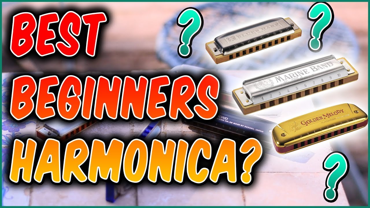 The Best Harmonica for Beginners?