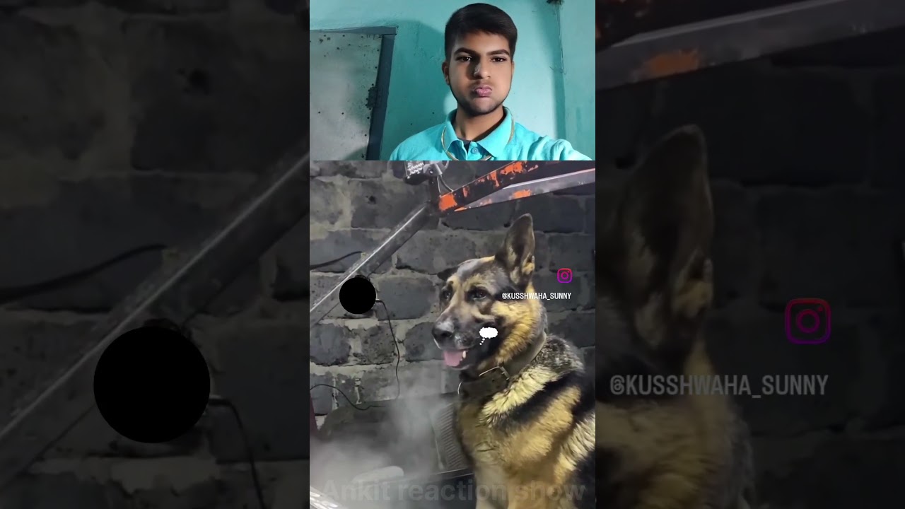 ab To khana banane Lage 