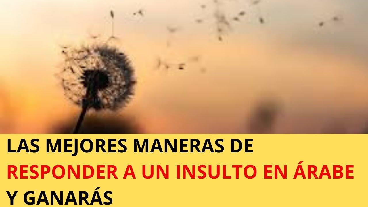 Как реагировать на оскорбление на арабском языке? Три наиболее распространенных способа оскорбить...