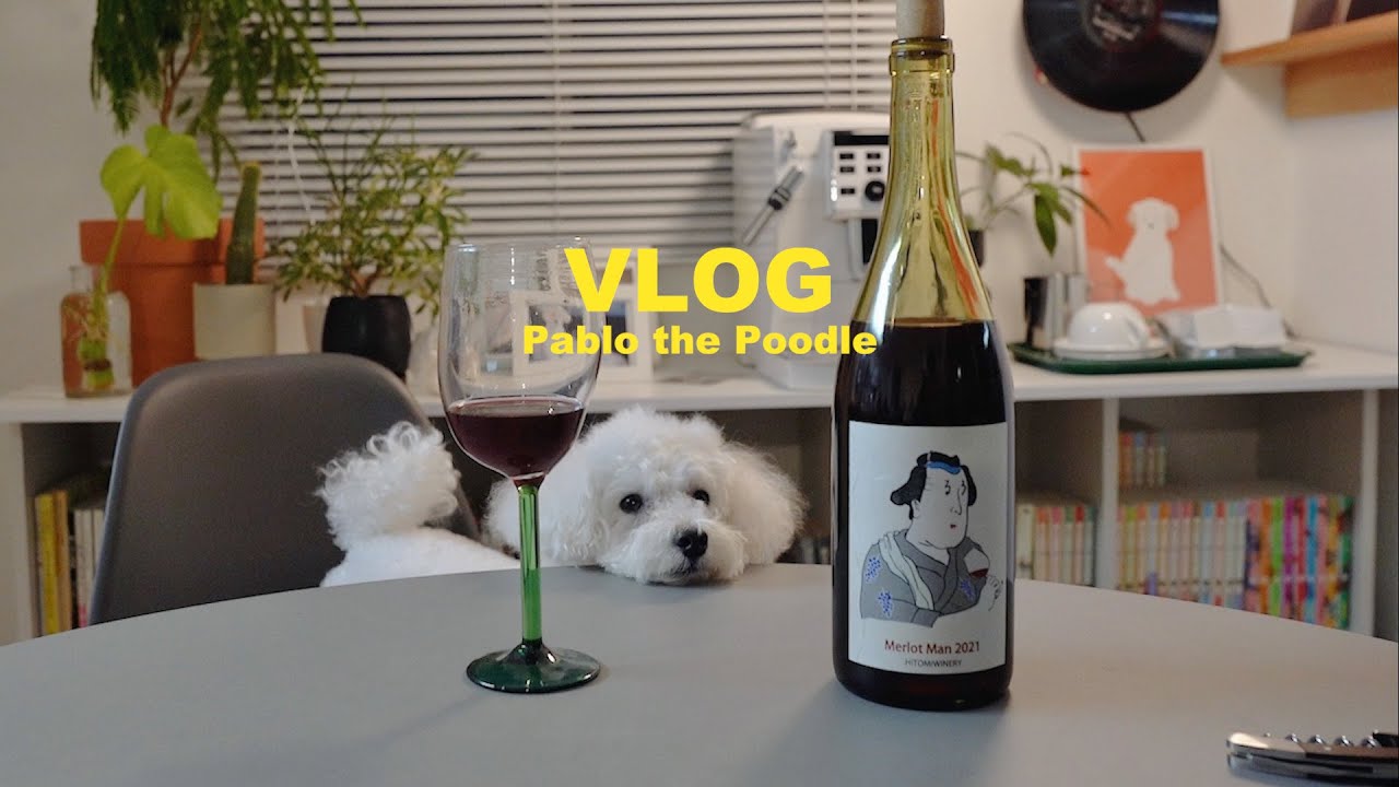 VLOG_ Собаки в мечтах , Лакомства на День святого Валентина , Поход в собачий парк , Хорошее вино