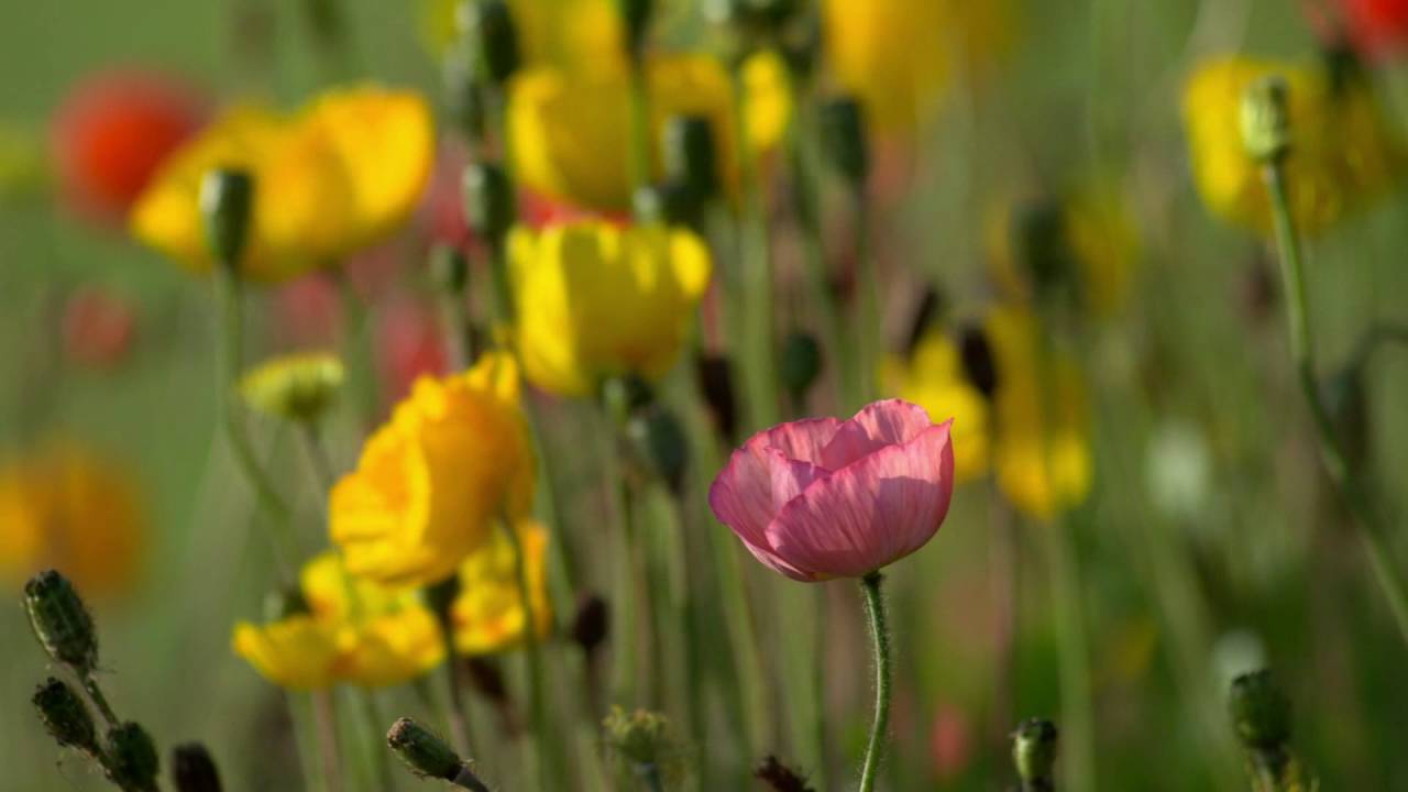 To Live To File Жить что бы чуствовать