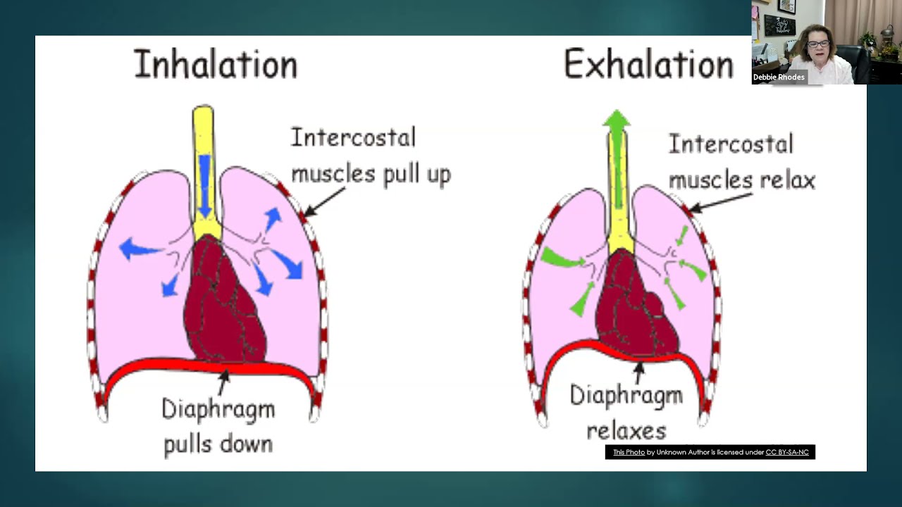 MDA Engage:  Maintaining Breathing Function with a Neuromuscular Disease