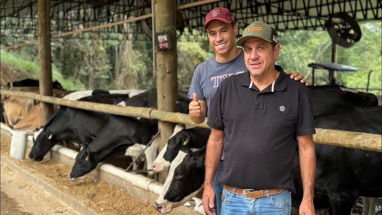 Fazenda Ferreira Tirando 900 Litros de Leite Pai e Filho Vem Obtendo Sucesso Na Pecuária Leiteira