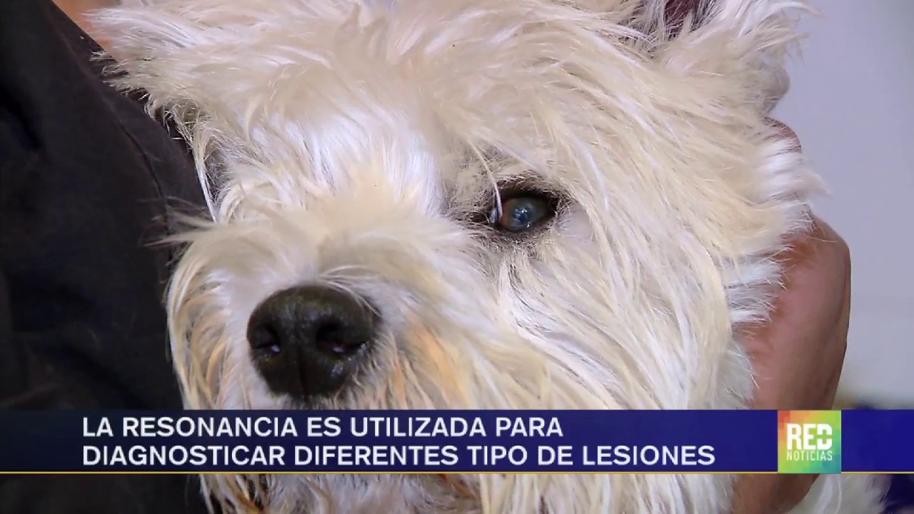 La resonancia es utilizada para diagnosticar diferente tipo de lesiones