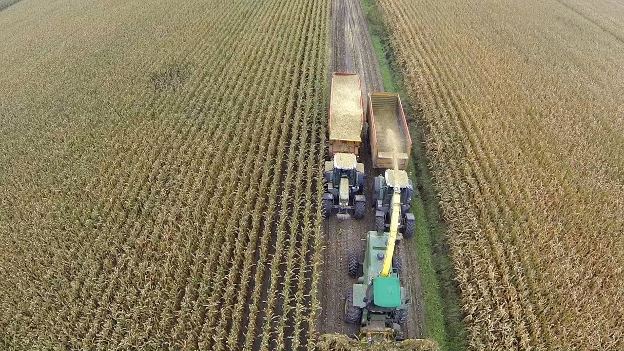 mais hakselen John Deere 6850 | Maishäckseln | chopping corn