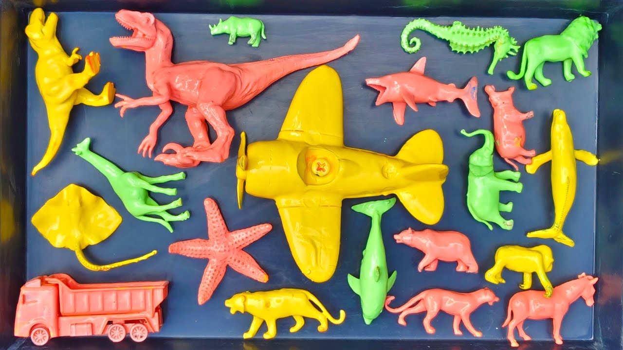 Membersihkan mainan hewan, dinosaurua, truk, hiu, gajah, singa, unta, pari, zebra, kangguru, panda