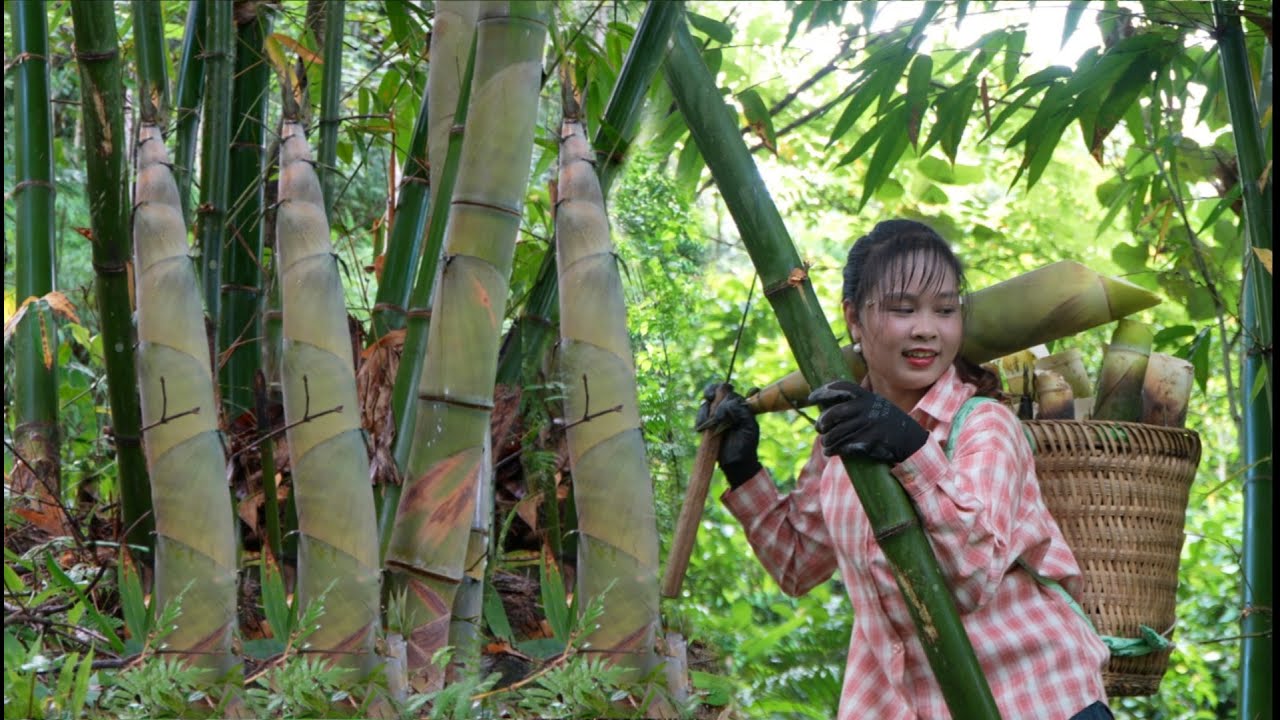 Binh is a real country girl, going into the forest to pick bamboo shoots to boil sell for money