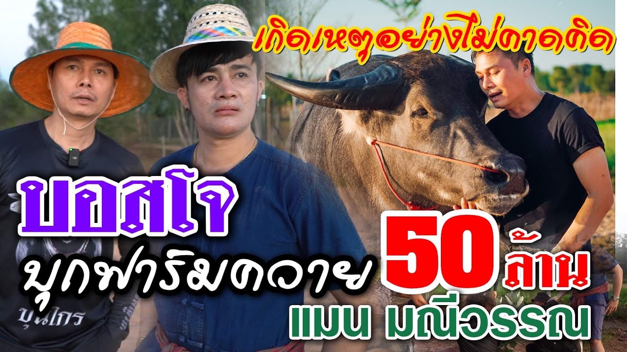 เกิดเหตุอย่างไม่คาดคิด! บอสโจ บุกฟาร์มควาย 50 ล้าน เเมน มณีวรรณ