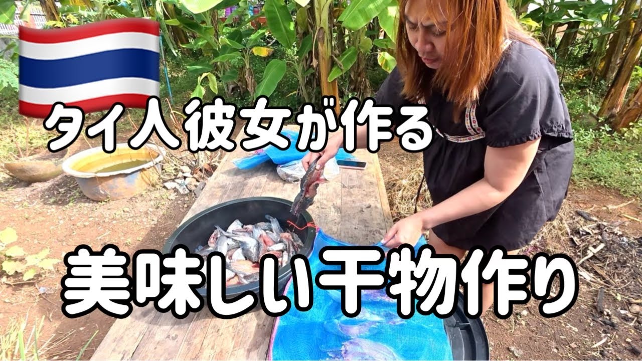 イサーン地方【タイ人彼女】は素手で死んだナマズをネットに入れて天日干し