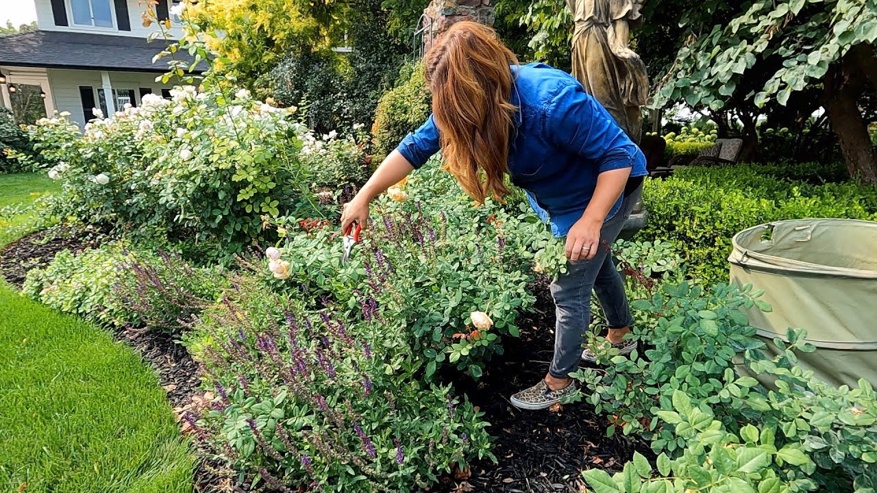 How We Maintain the Garden by Using Zones! TUESDAY Zone! 💚 // Garden Answer