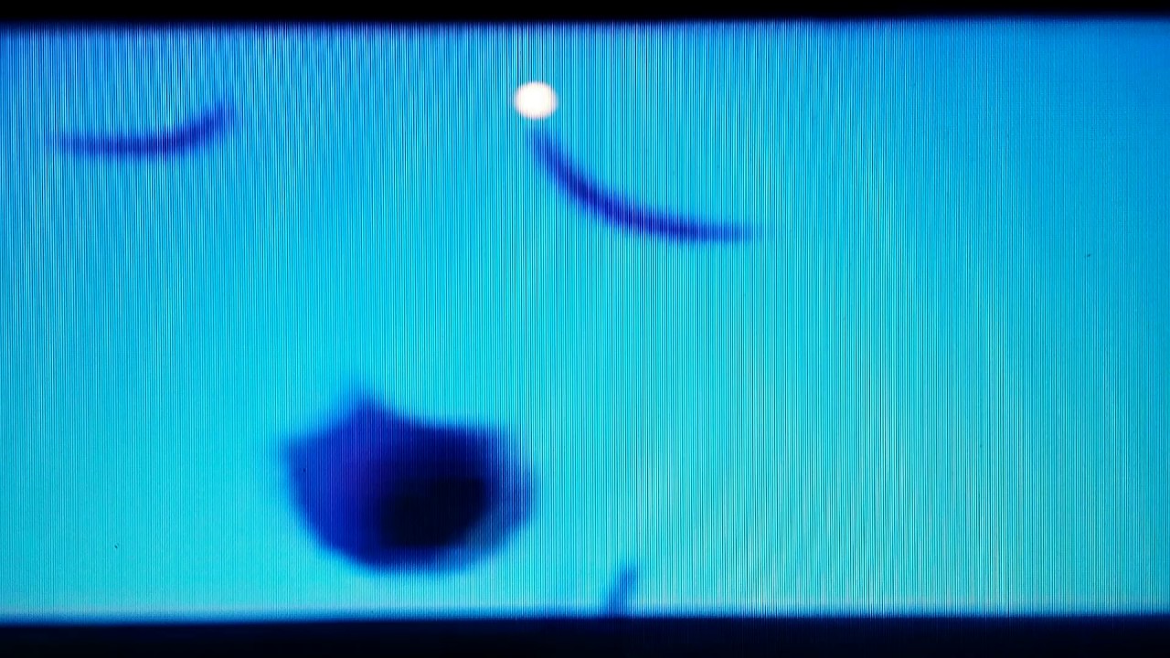 Nick jr face practices his coyote call