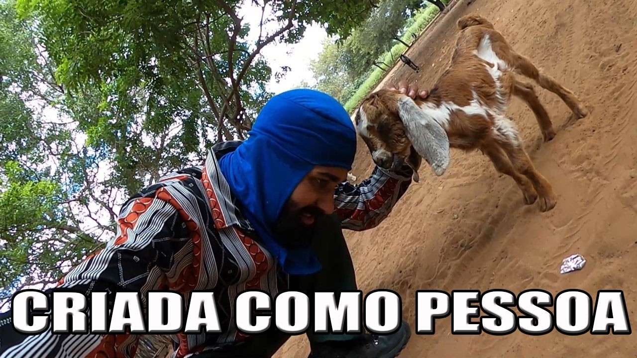 UMA SURPRESA NA ESTRADA N&Atilde;O ACREDITEI NO QUE VI Ep 55