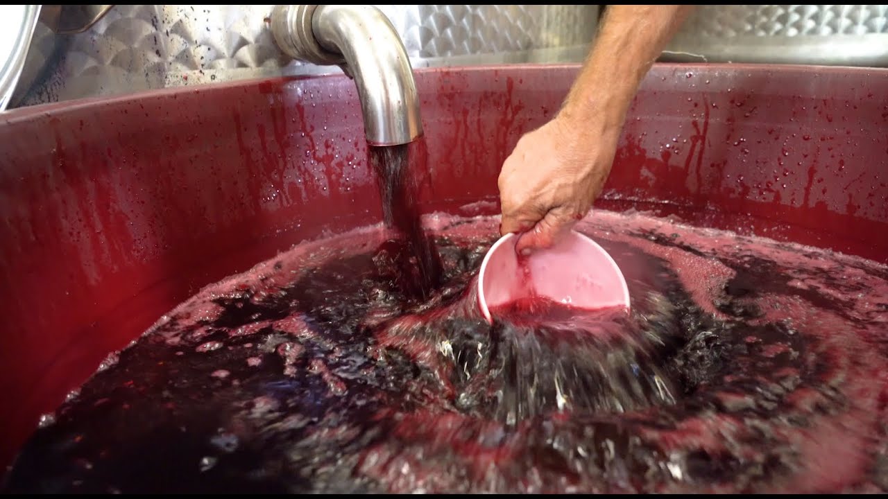 La Vinificazione