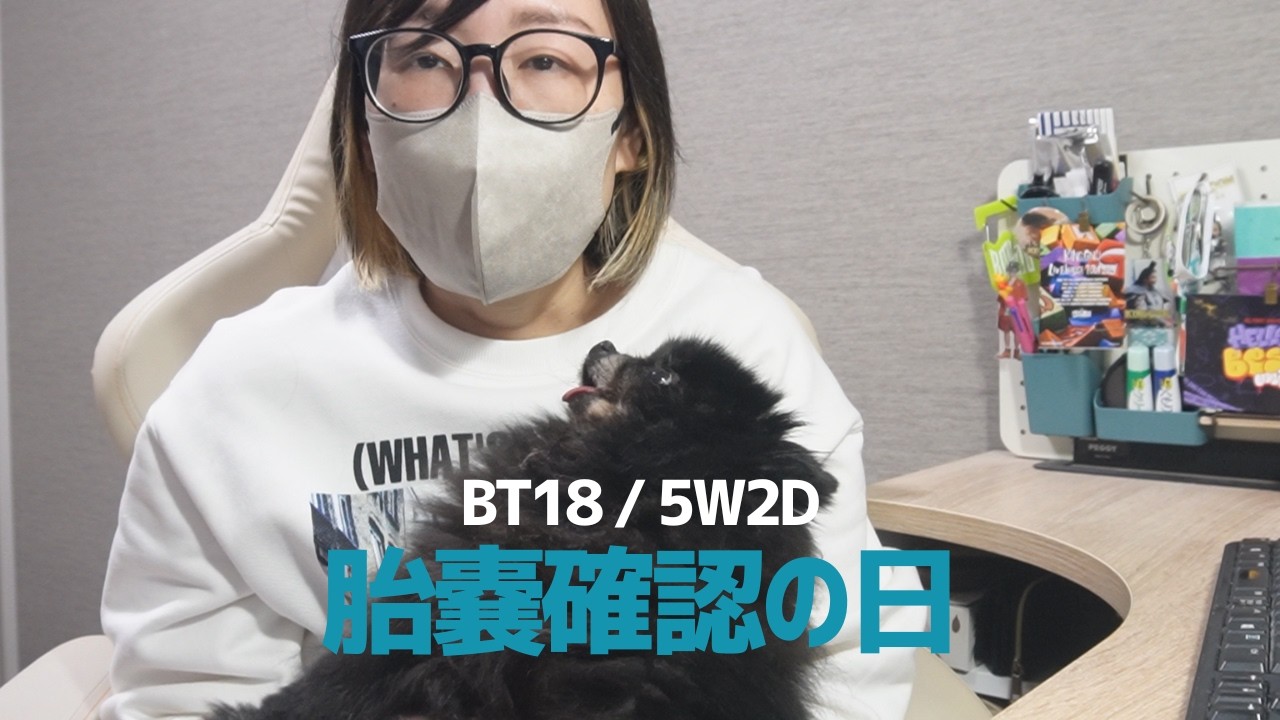 【最後の不妊治療】BT18胎嚢確認の日。帰宅後に重なった小さな丸。｜43歳vlog