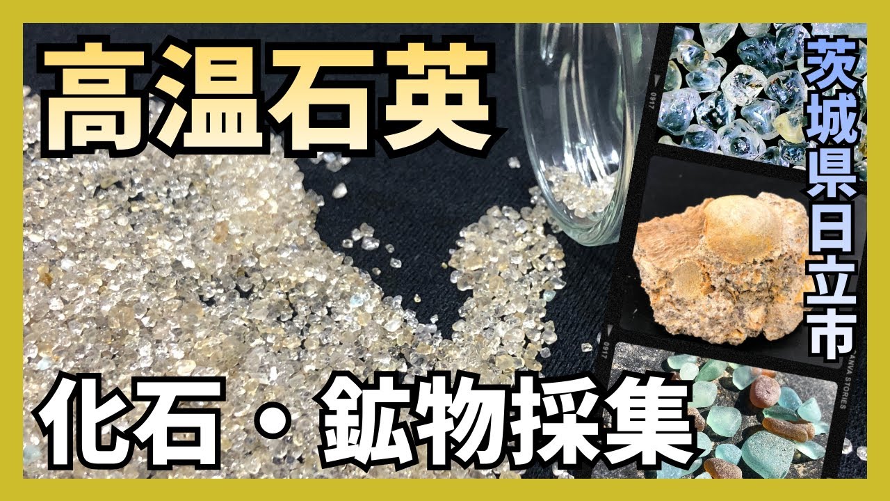【化石・鉱物採集】茨城県日立市の海岸で貝化石と銀河の砂！？キラキラ輝く高温石英採集【みなも＆ぴろこ】
