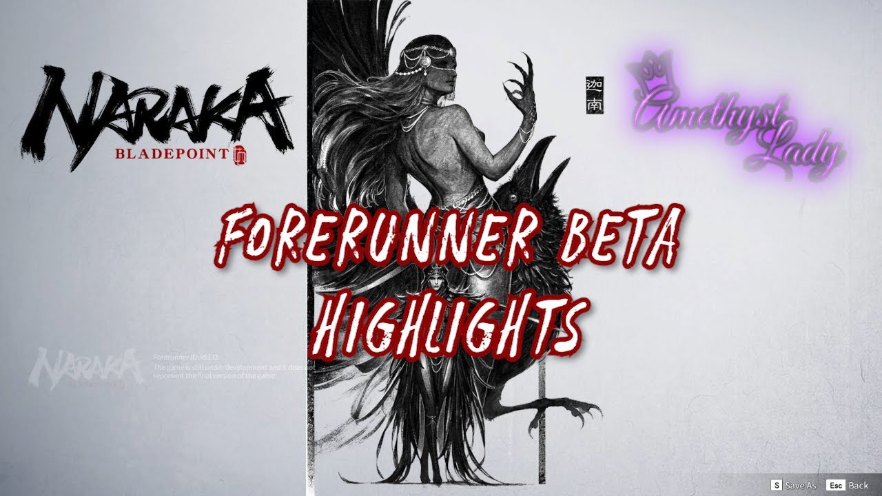 Naraka Bladepoint Forerunner Beta Highlights! | AmethystLady