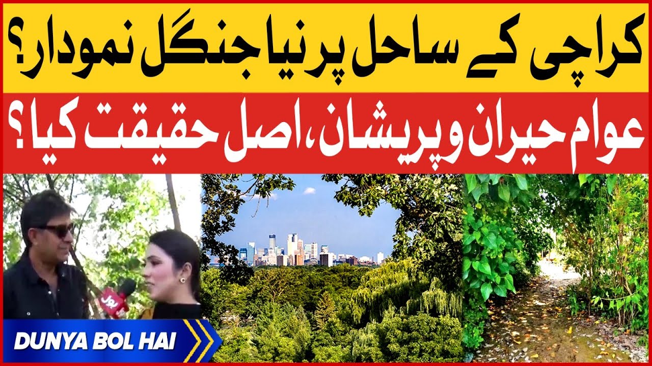 Artificial Jungle in Karachi | Clifton Urban Forest | BOL News