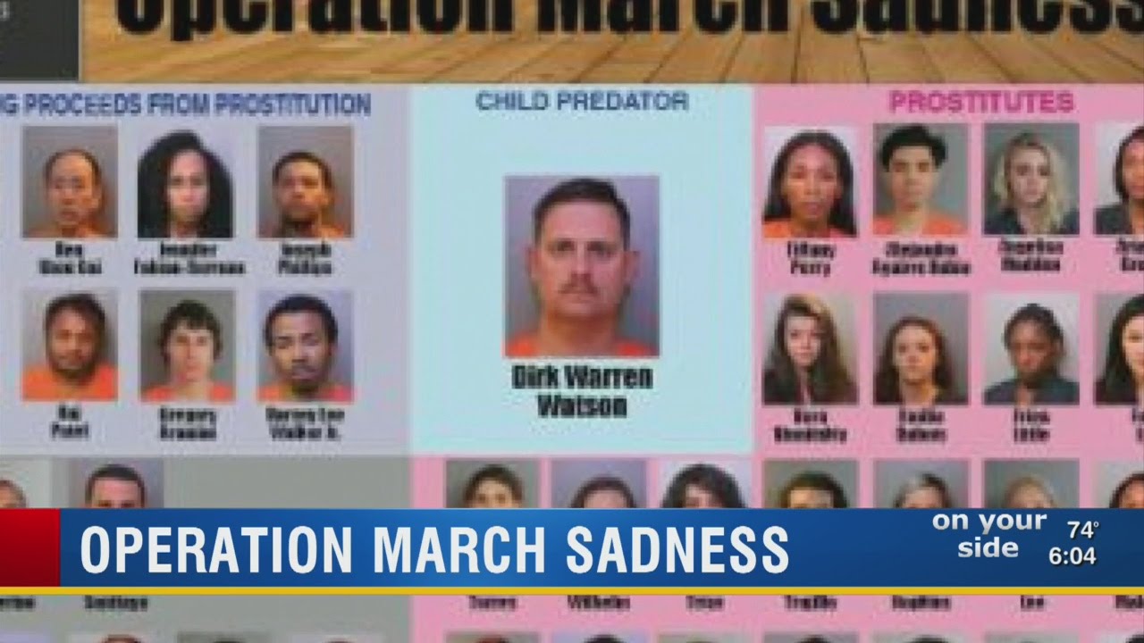 Polk County prostitution sting