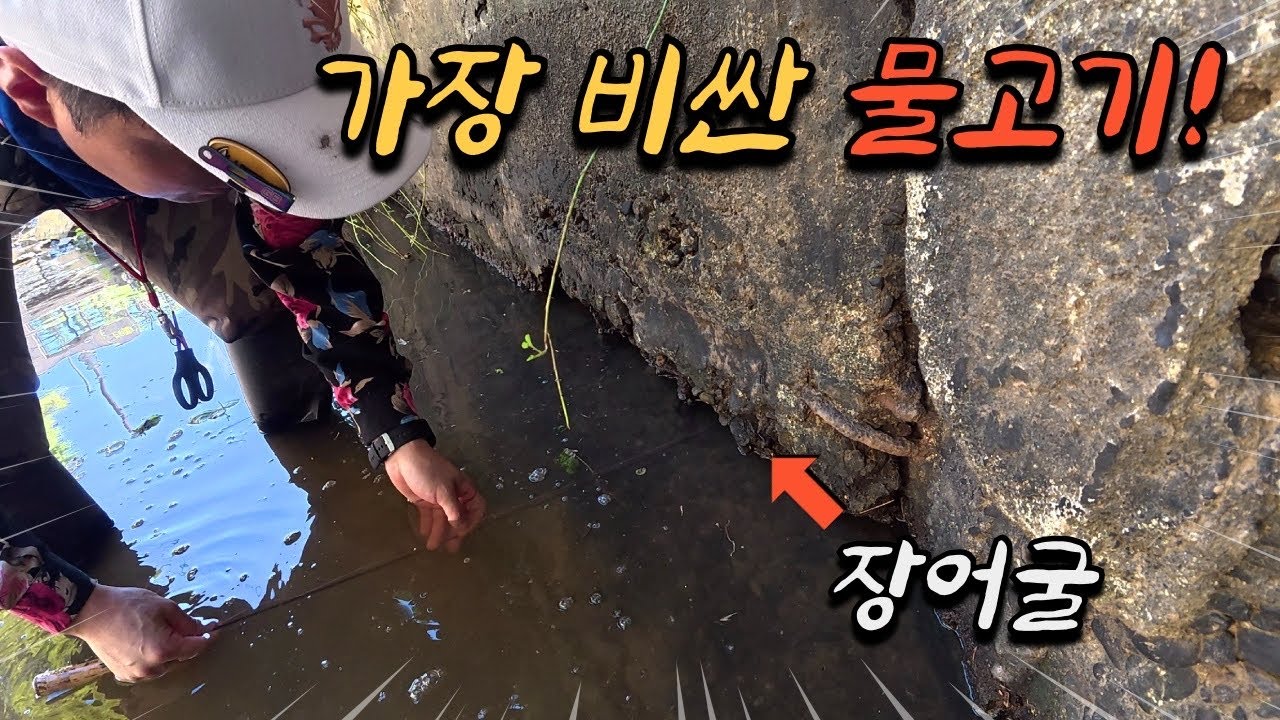 이런 곳에서 나온다고?? 잡고 싶어도 못잡는 최고급 어종을 먹어보자!