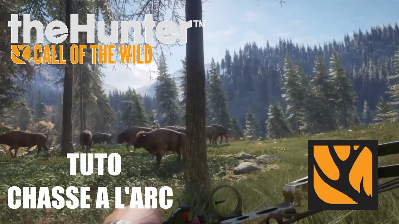 THEHUNTER COTW - TUTO CHASSE A L'ARC