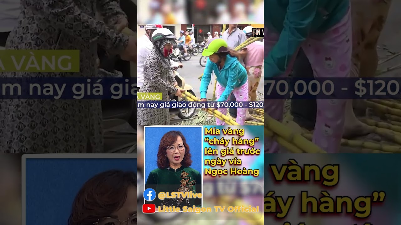 M&iacute;a v&agrave;ng &ldquo;ch&aacute;y h&agrave;ng&rdquo; l&ecirc;n gi&aacute; trước ng&agrave;y v&iacute;a Ngọc Ho&agrave;ng