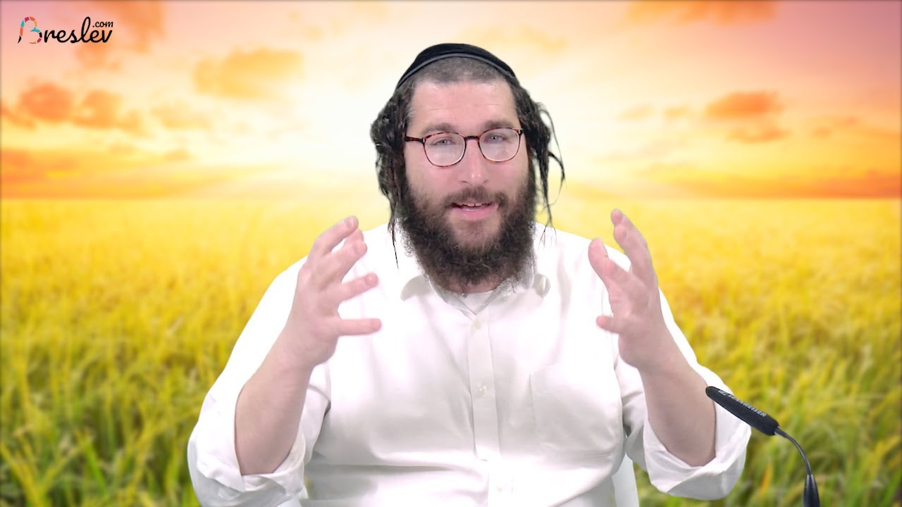 Parashat bo
