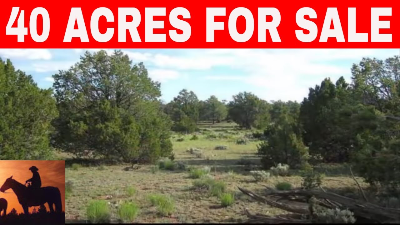 Owner Financed Land Arizona 40 Acres For Sale