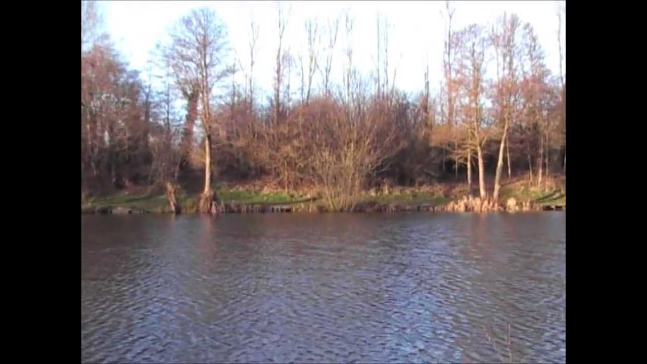 morgans pond 2013 session 2