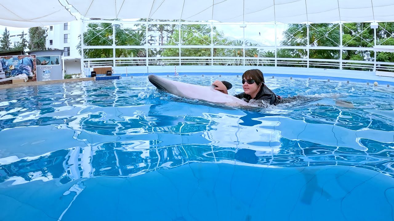 Delfintherapie Kemer ( Leon )