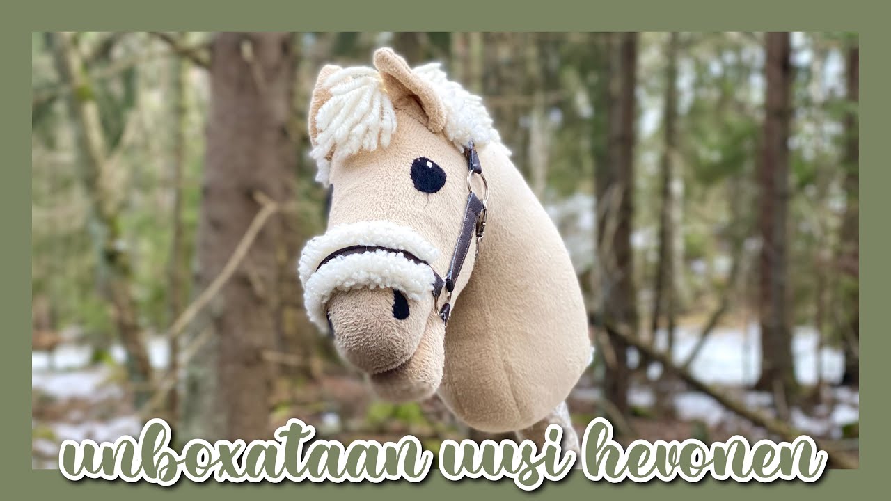 Uusi Hevonen …Taas 🙊🐴 | Paketinavausvideo