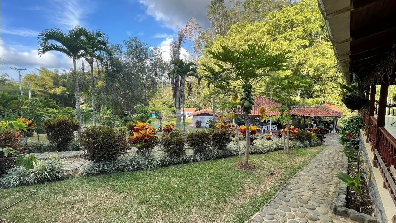 REF 56 🏡 #finca #calicolombia #barato #estadosunidos hermosa finca en venta 🏕 @verdevidaconecta