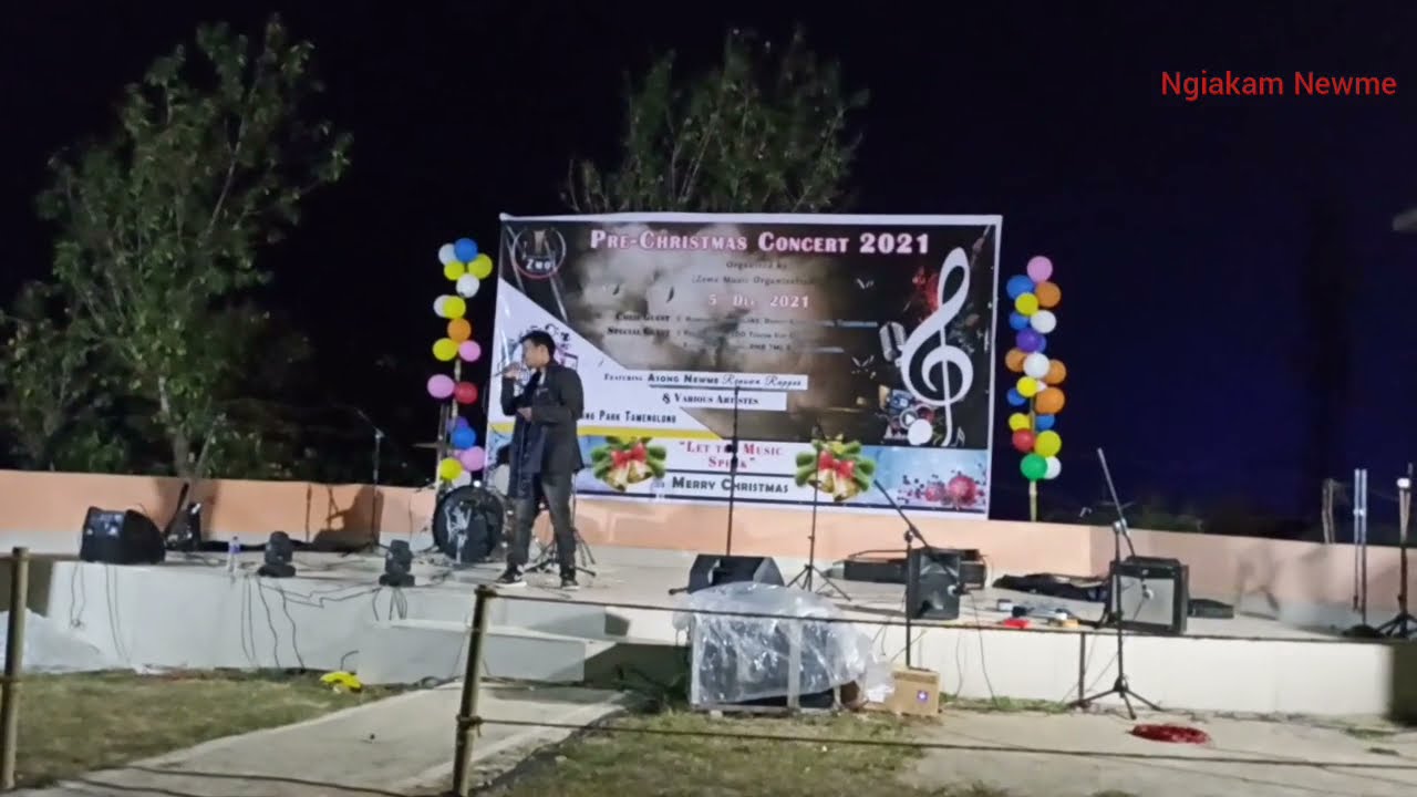 Suaneing Newme live performance Pre-Christmas concert @ZemeMusicOrganization